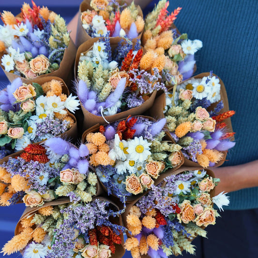 Dried Flowers - Market More - Lavender Peach