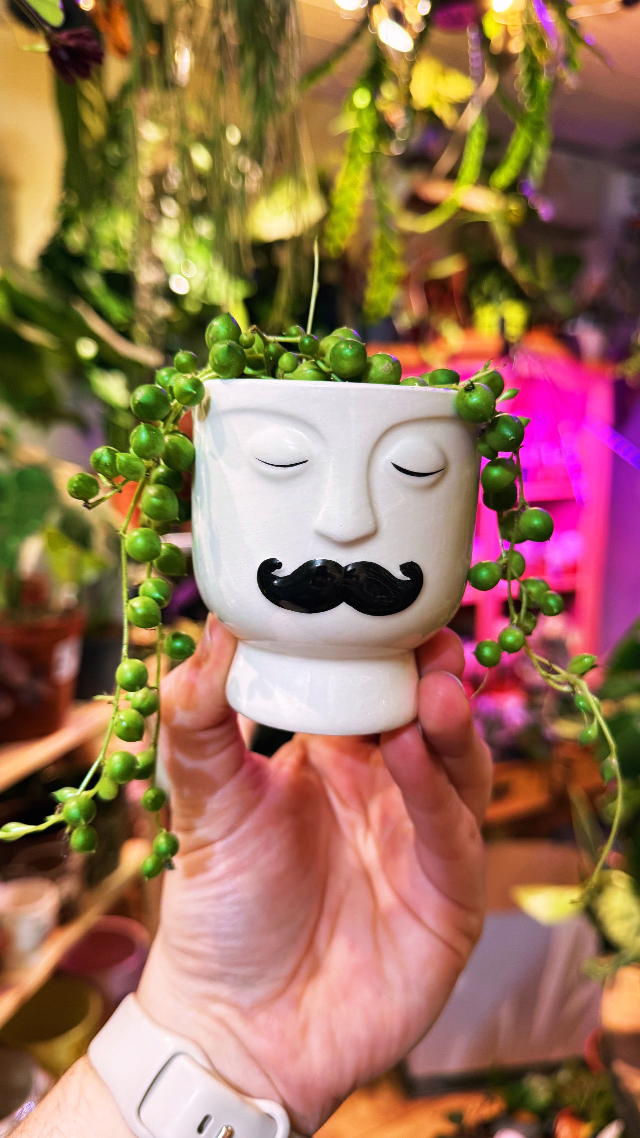 Magnetic Face Plant Pots