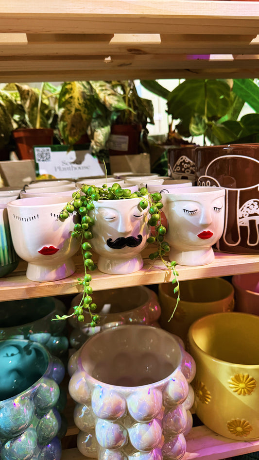 Magnetic Face Plant Pots