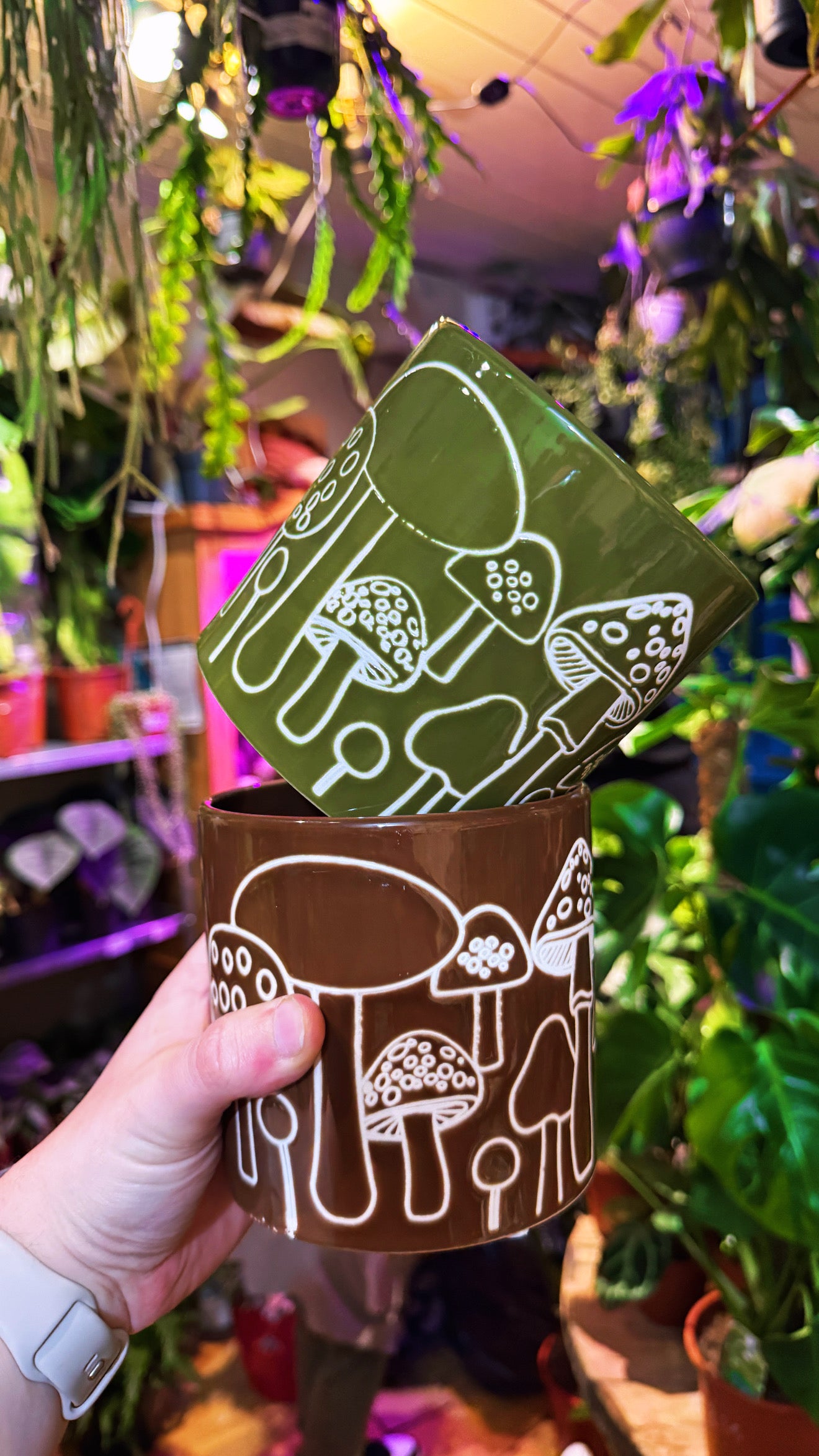 Mystical Mushroom Pot (Brown)