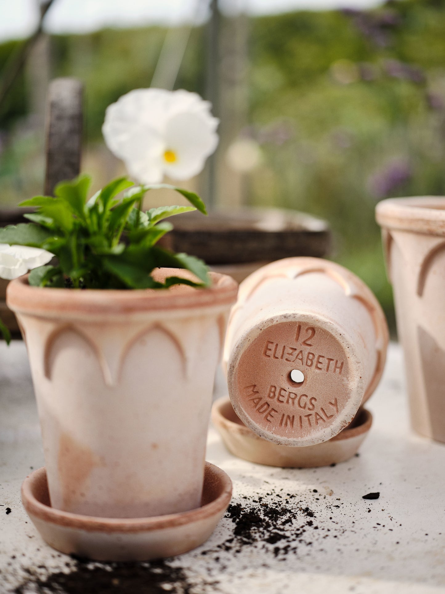 Bergs Potter Elizabeth RAW Rosa 12cm Pot