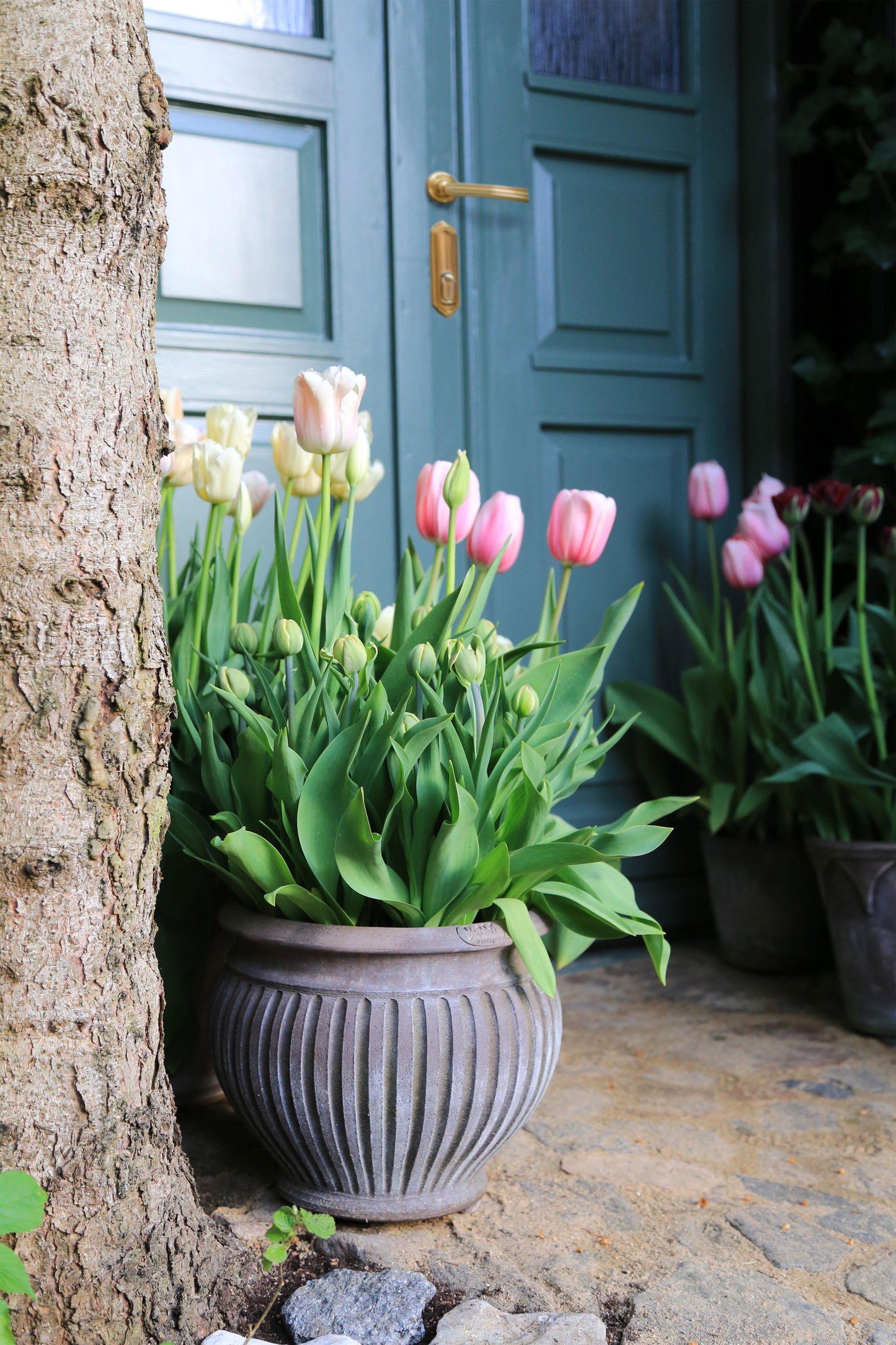 Bergs Potter Piccolina RAW Grey 30cm Pot