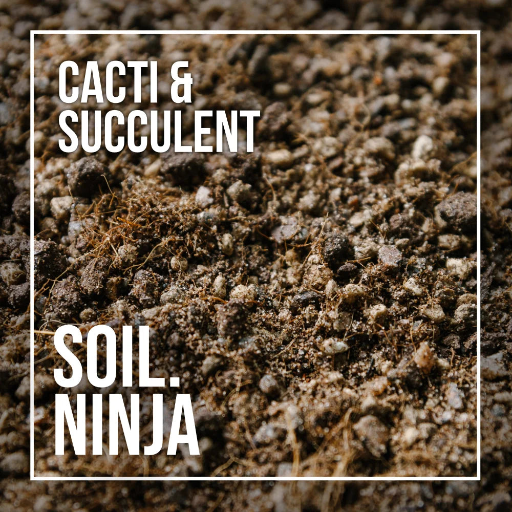 Soil Ninja 'Cacti & Succulents' 2.5L