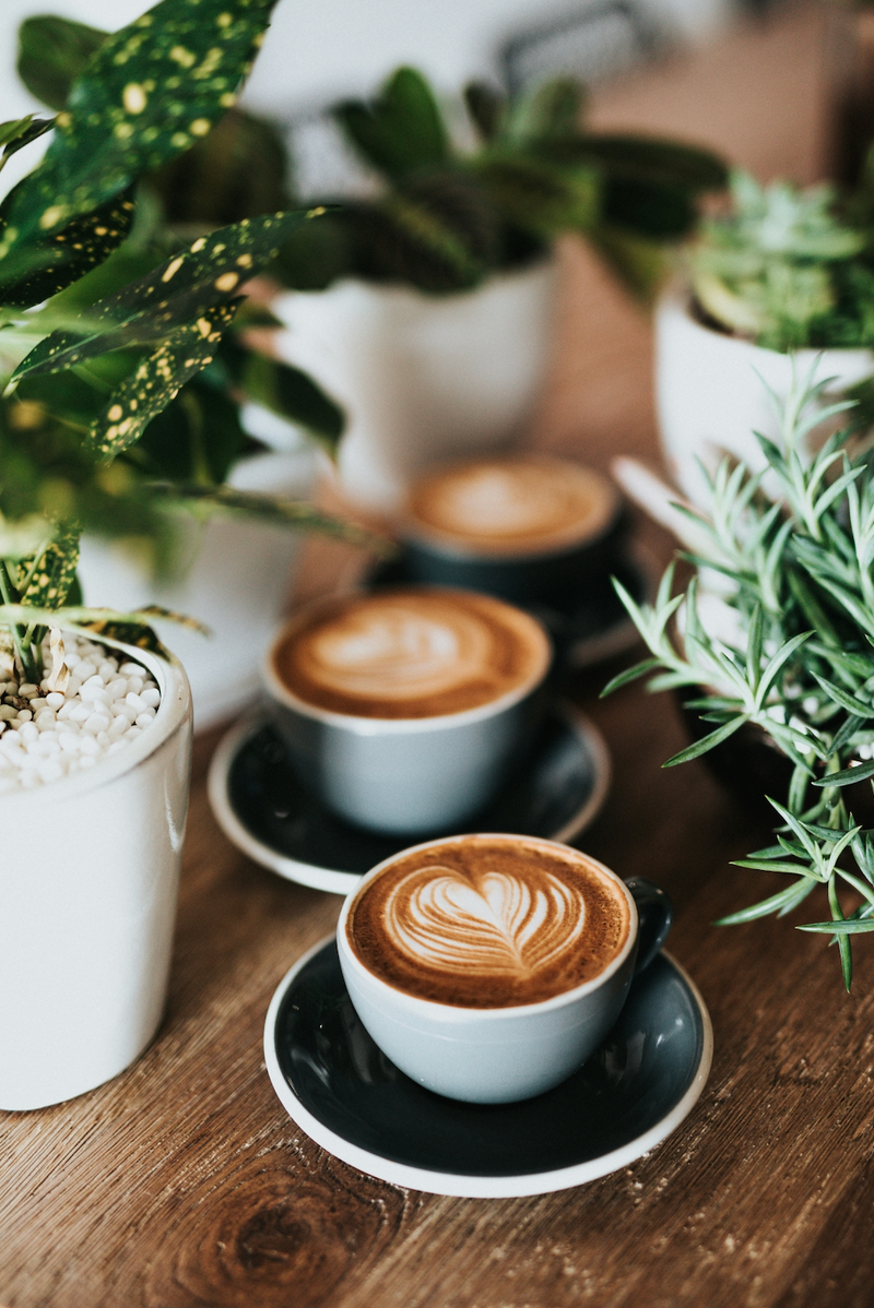 The Espresso Bar Collection