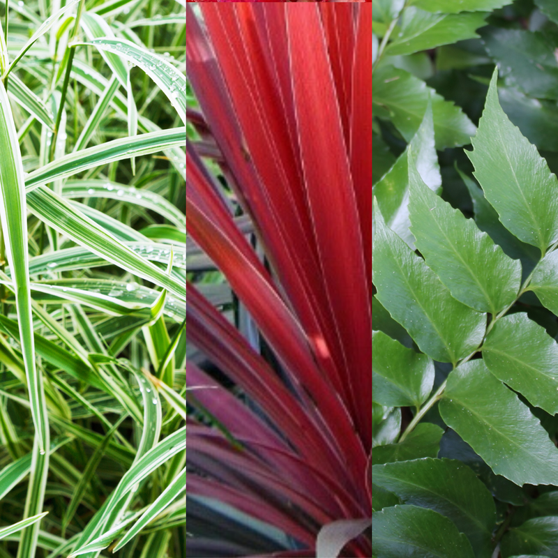 The Outdoor Sanctuary