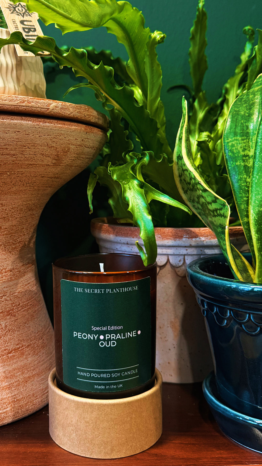 The Secret PlantHouse Candles