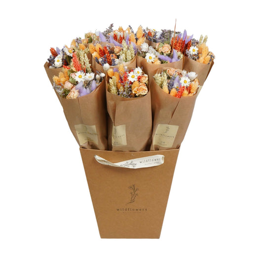 Dried Flowers - Market More - Lavender Peach