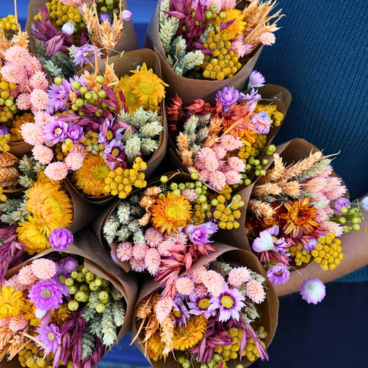 Dried Flowers - Market More - Sunny Delight