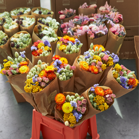 Dried Flowers - Market More - Multi