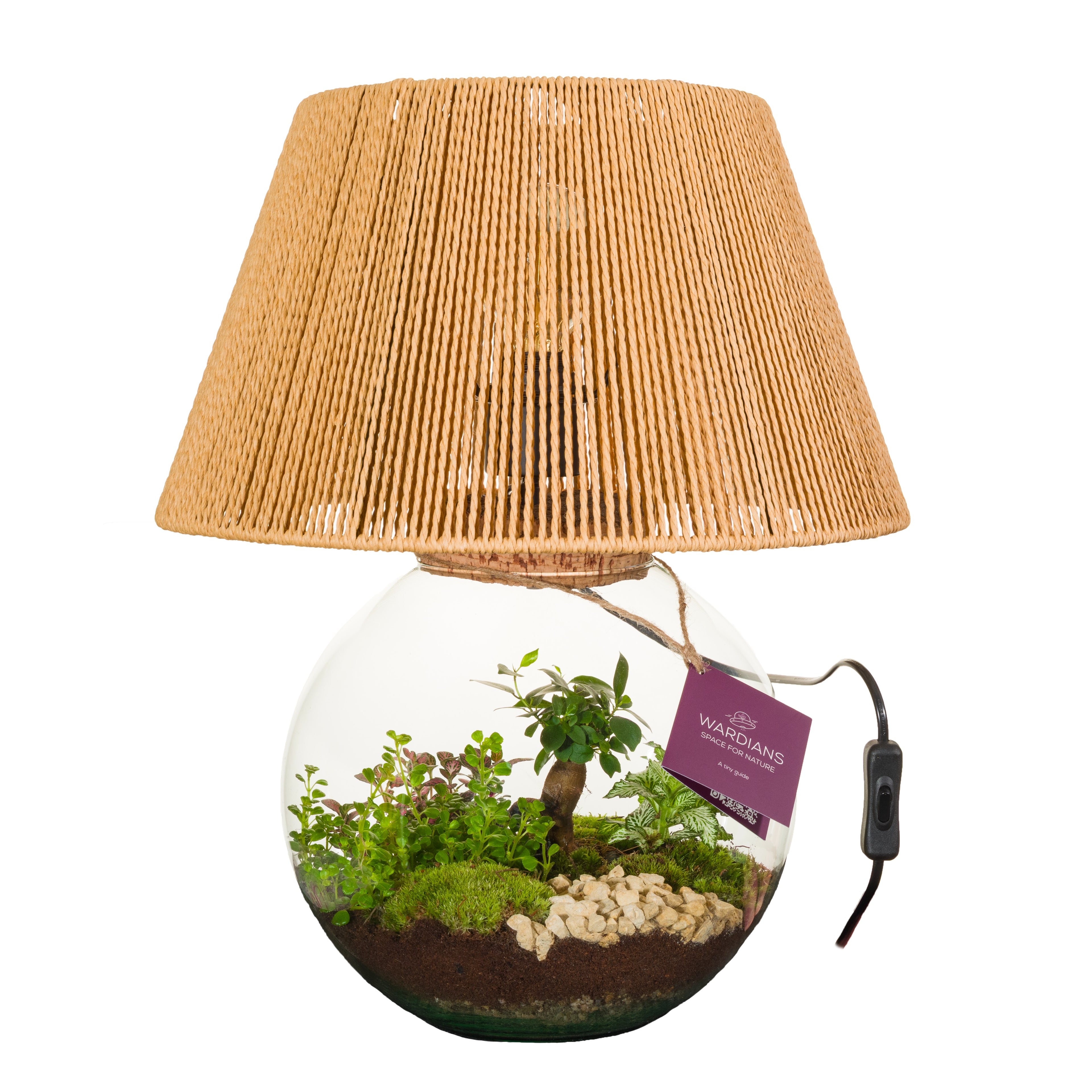 Wardians Terrarium - Moonlight + LED bulp (wired 220V)