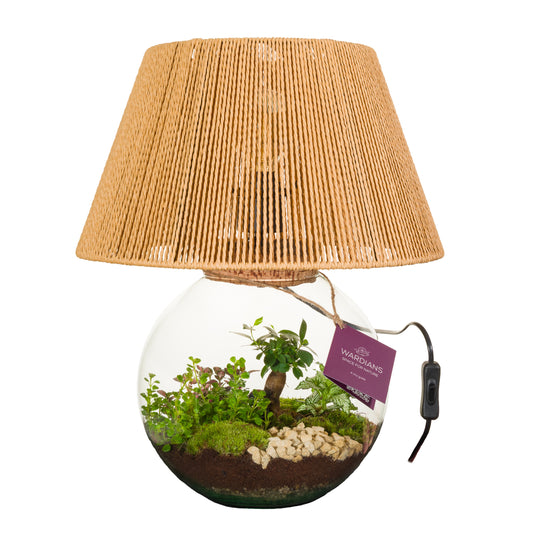 Wardians Terrarium - Moonlight + LED bulp (wired 220V)