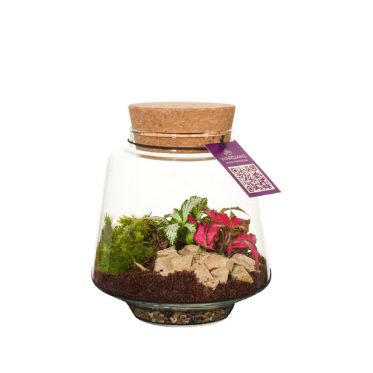 Wardians Terrarium - Mercurius small