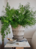 Bergs Potter Pantheon RAW Grey 12cm Pot
