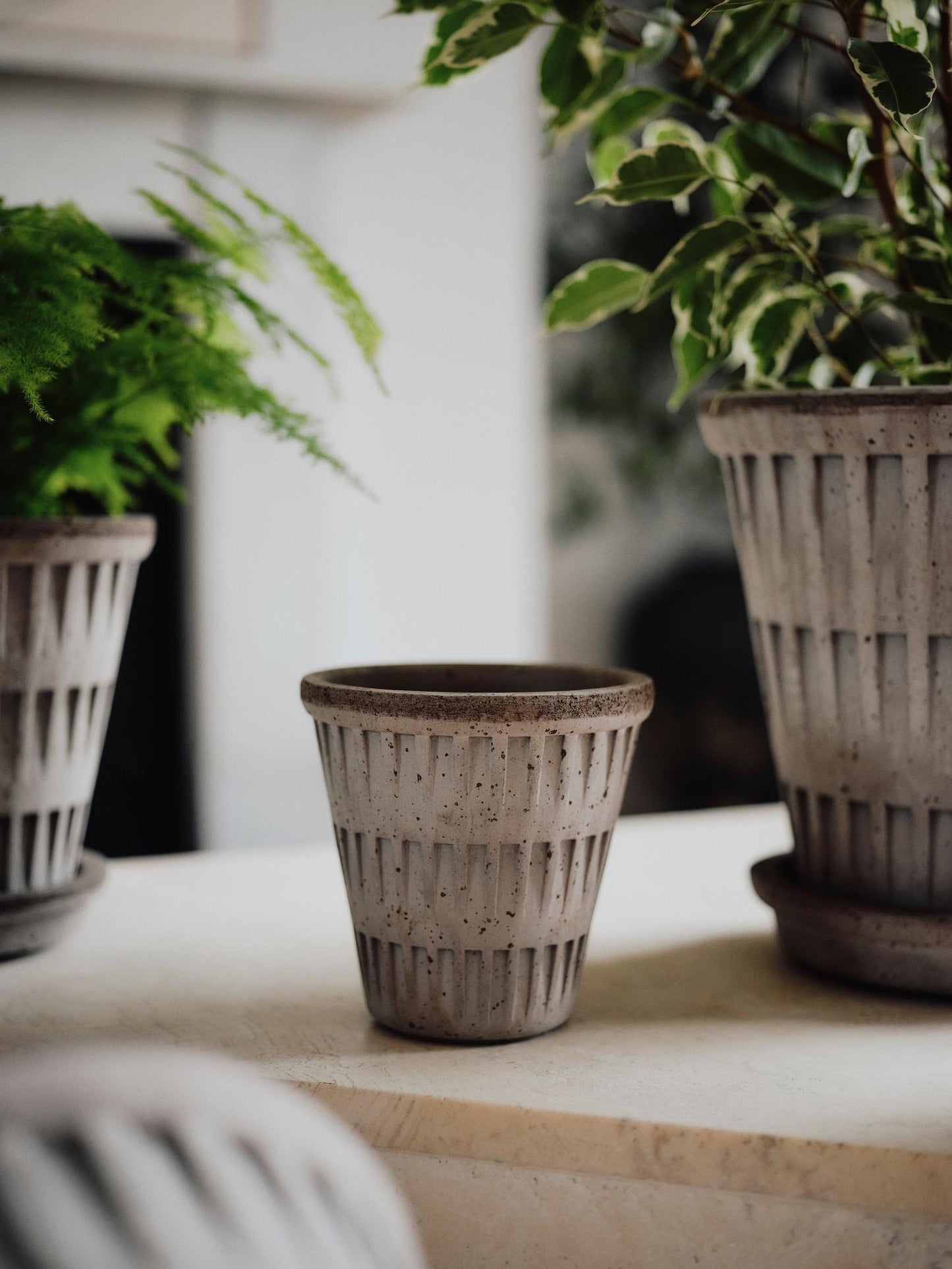 Bergs Potter Pantheon RAW Grey 12cm Pot