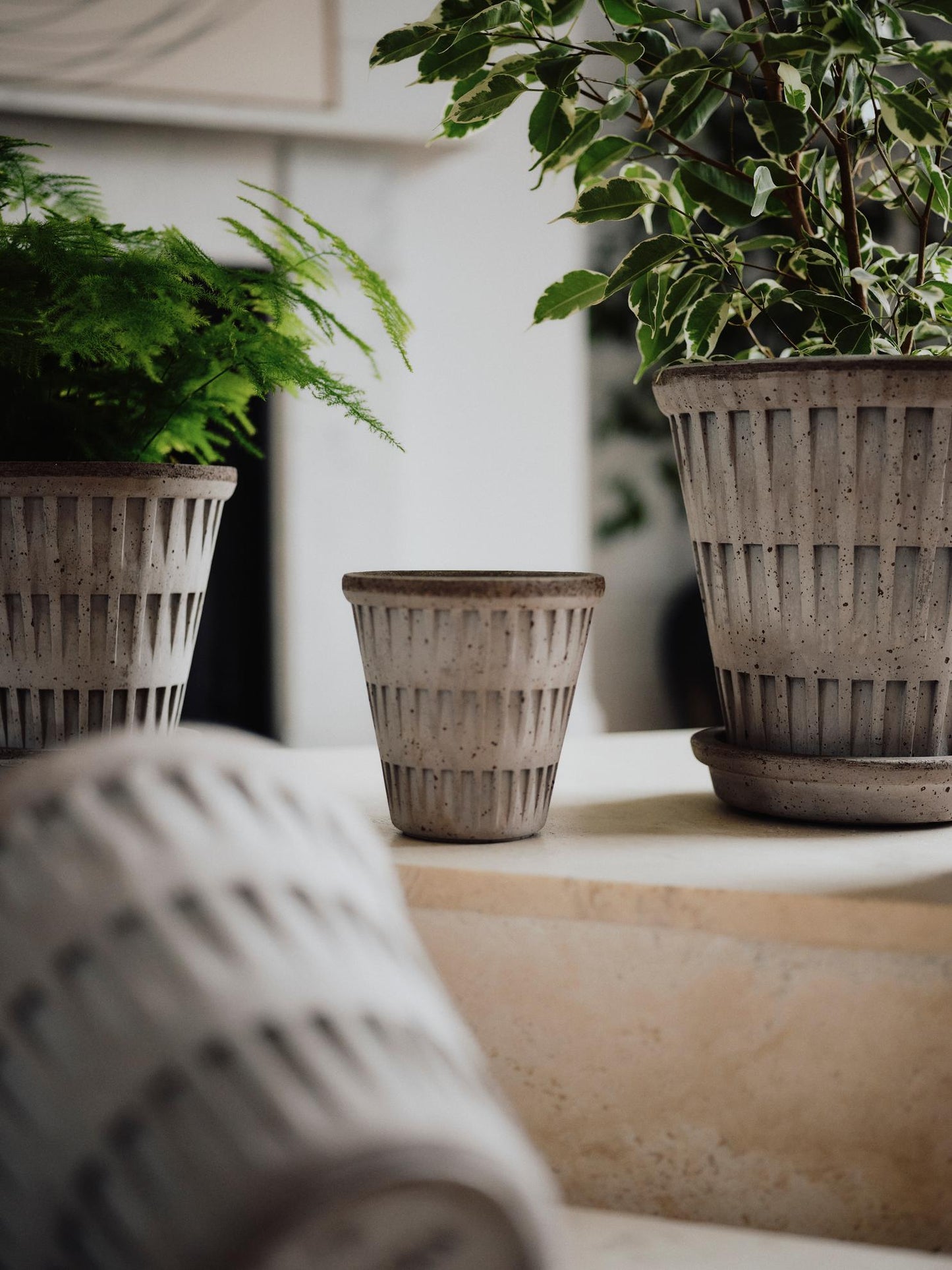 Bergs Potter Pantheon RAW Grey 25cm Pot