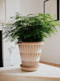 Bergs Potter Pantheon RAW Rosa 12cm Pot