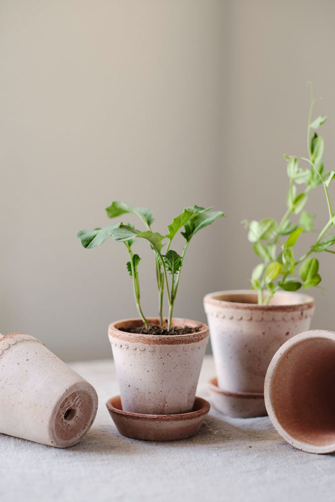 Bergs Potter Helena Pot + Saucer