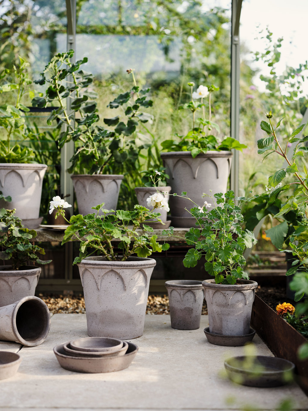 Bergs Potter Elizabeth RAW Grey 18cm Pot