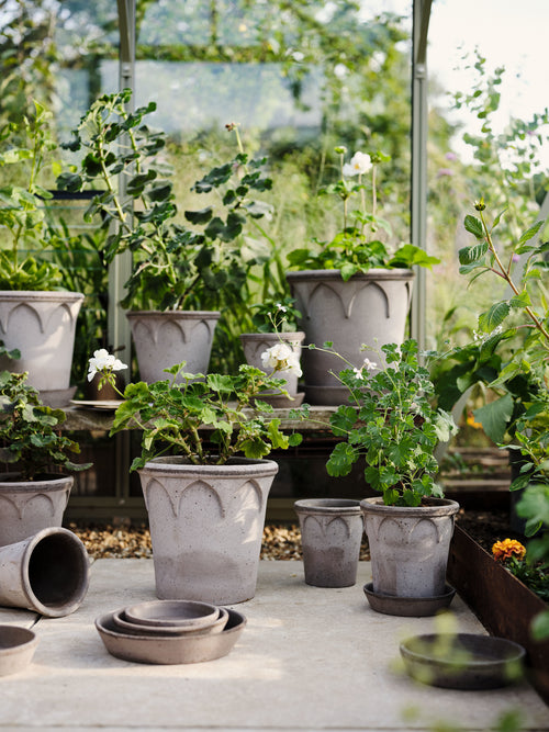 Bergs Potter Elizabeth RAW Grey 12cm Pot