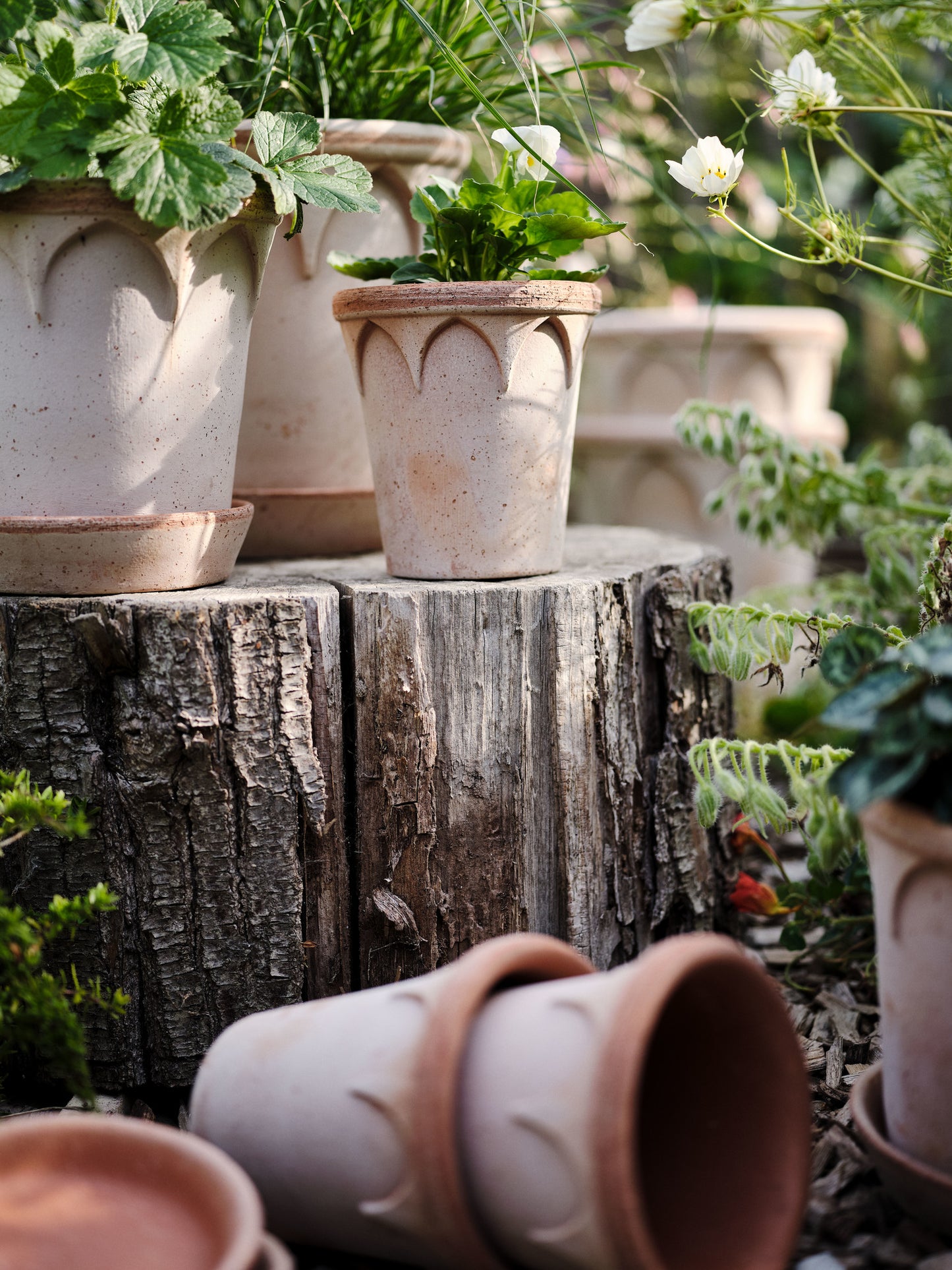 Bergs Potter Elizabeth RAW Rosa 12cm Pot