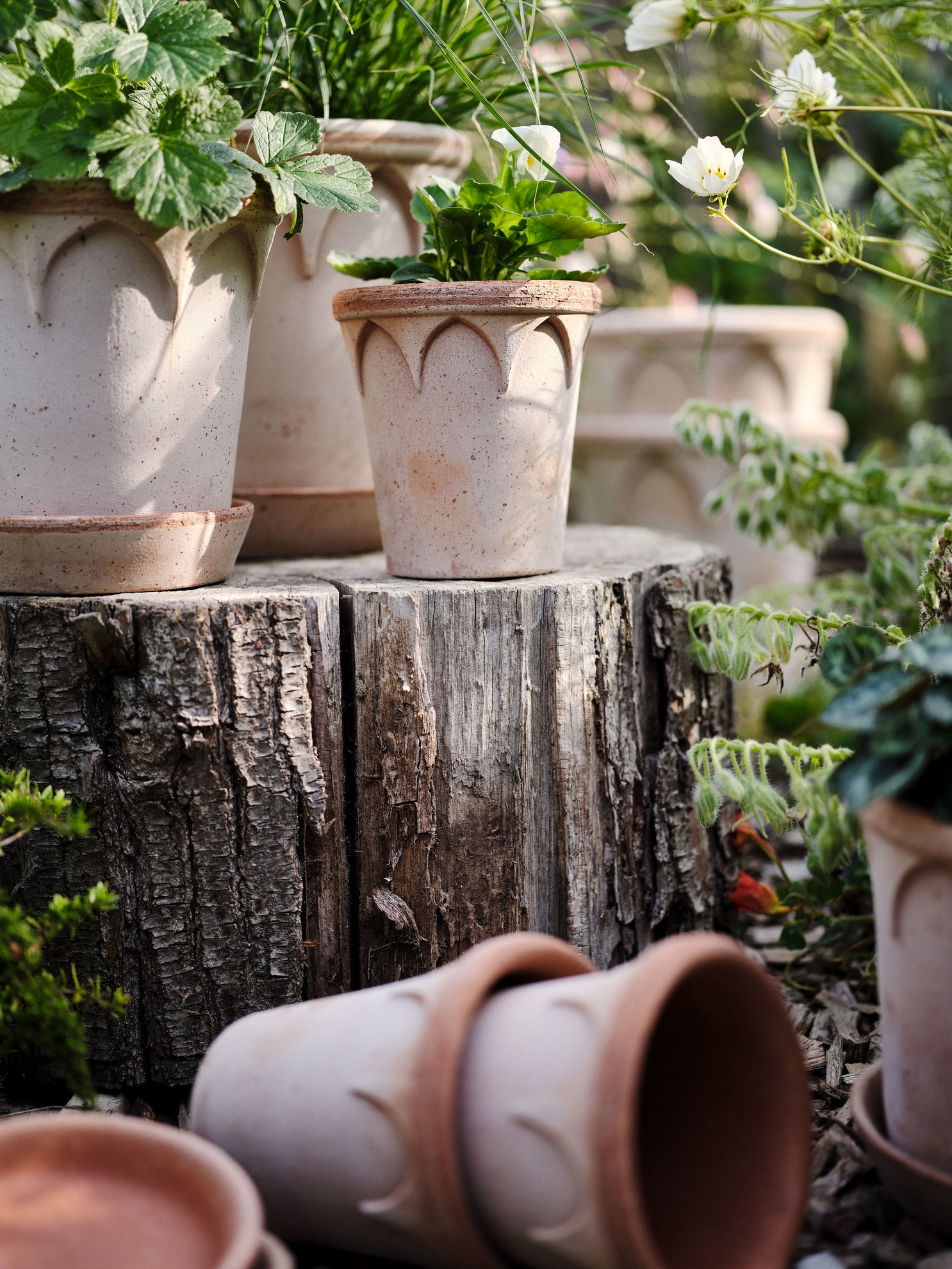 Bergs Potter Elizabeth RAW Rosa 12cm Pot