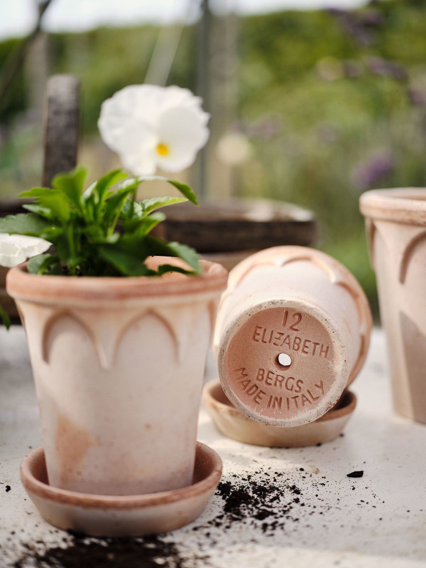 Bergs Potter Elizabeth RAW Rosa 12cm Pot