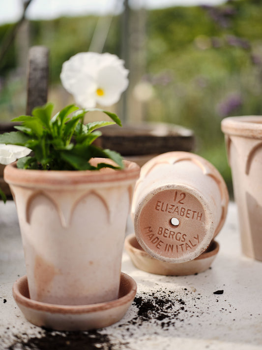 Bergs Potter Elizabeth RAW Rosa 18cm Pot