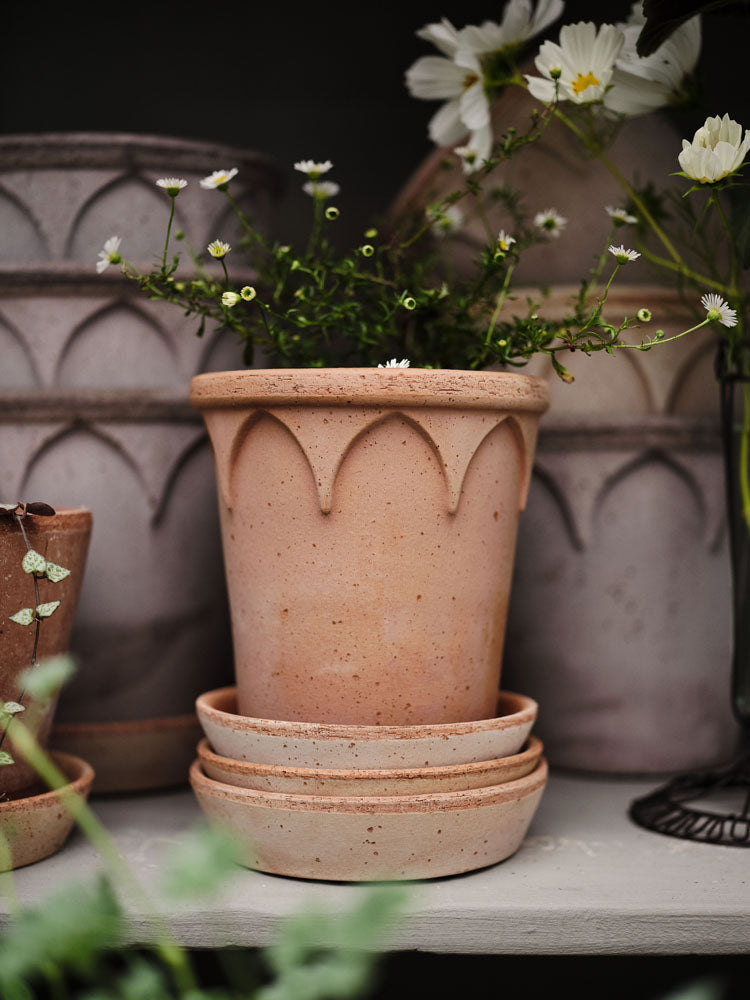Bergs Potter Elizabeth Pot + saucer