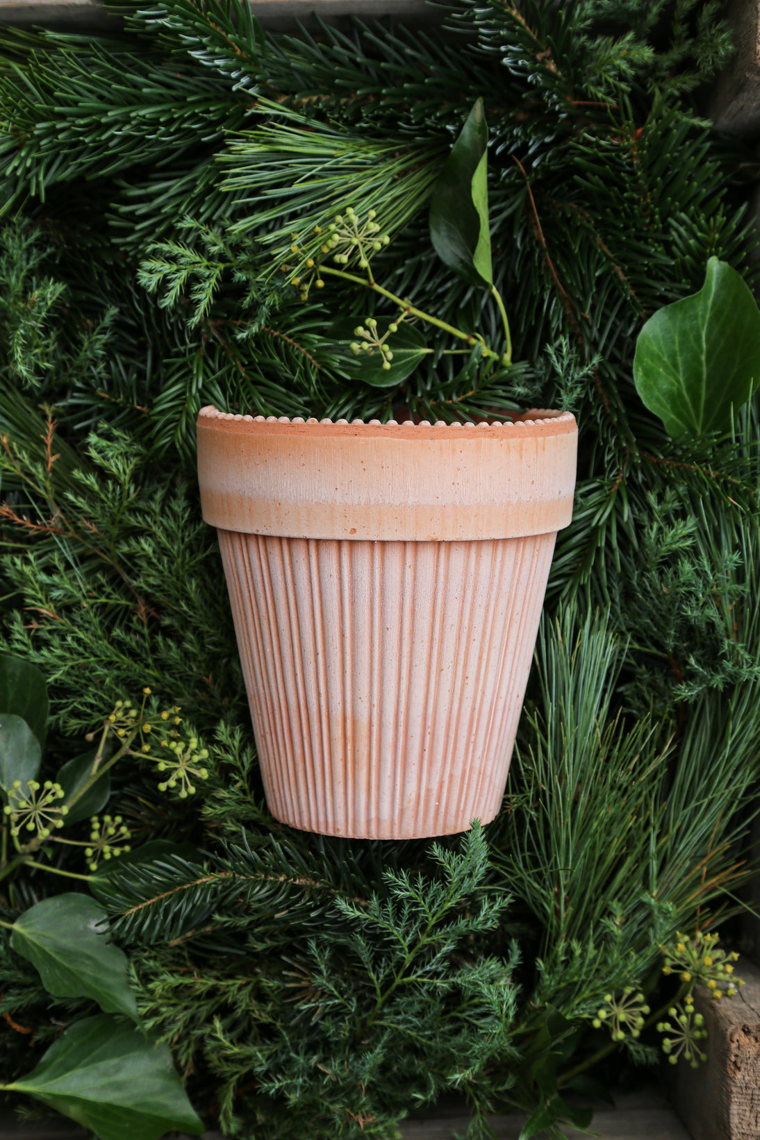 Bergs Potter Simona RAW Rosa 14cm Pot
