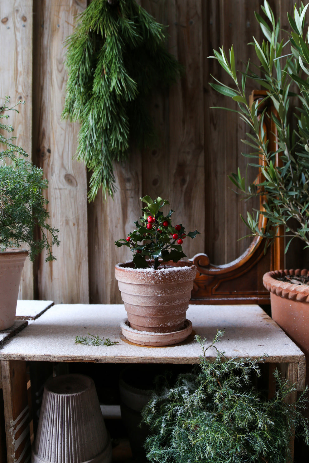 Bergs Potter Planet RAW Rosa 21cm Pot