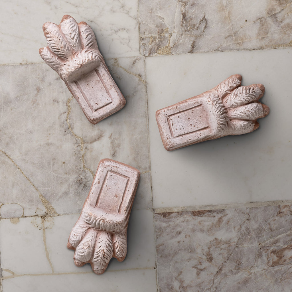 Bergs Potter Lion Paw RAW Rosa