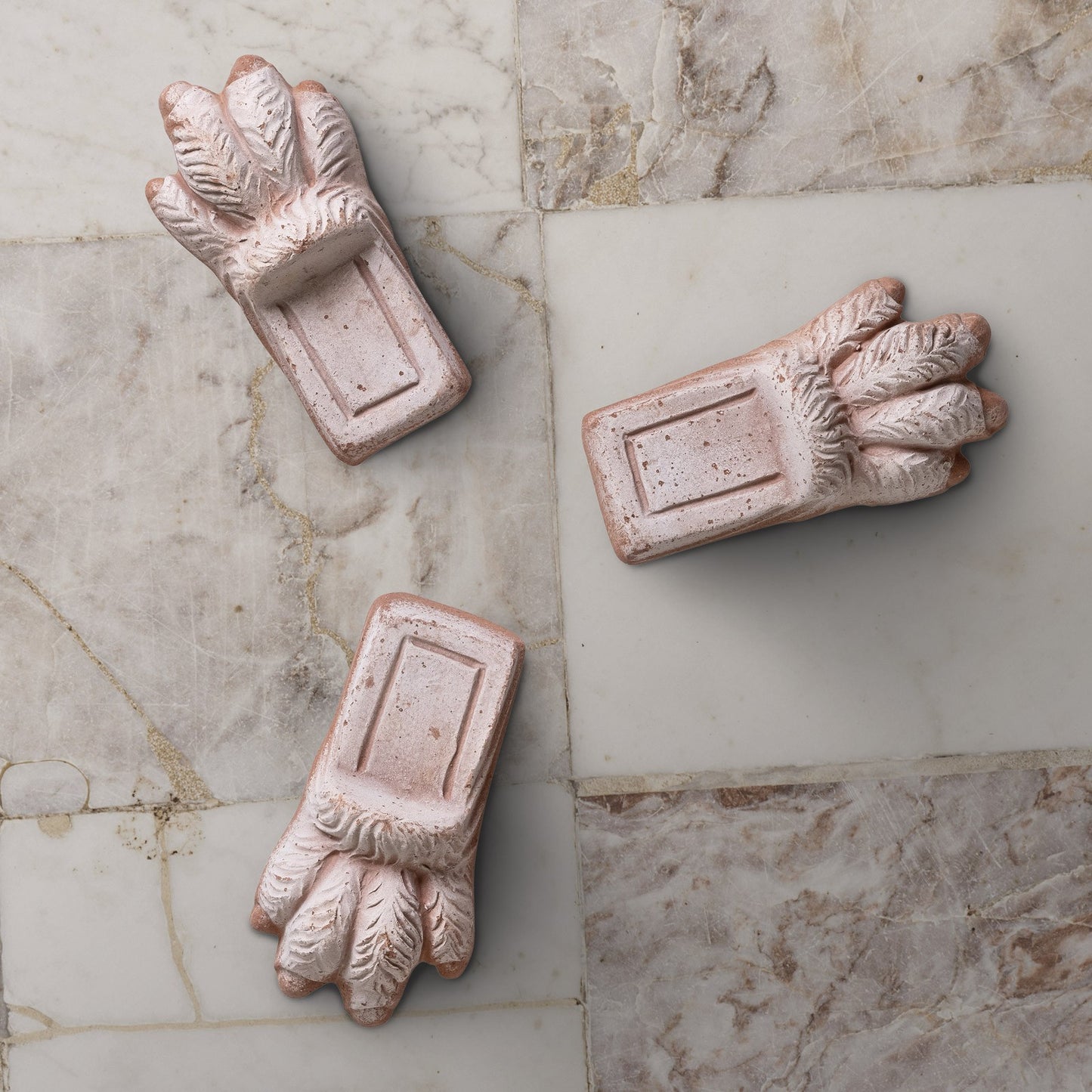 Bergs Potter Lion Paw RAW Rosa