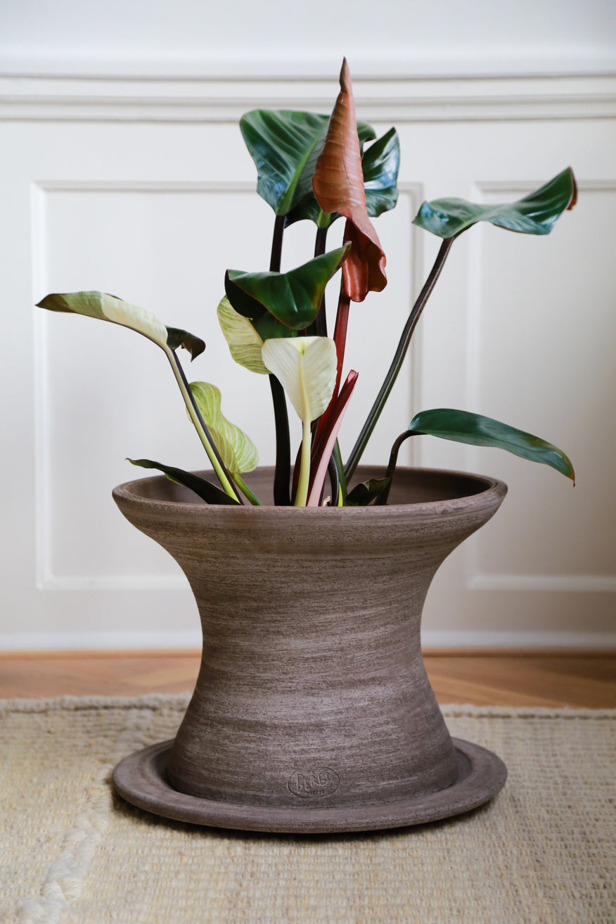 Bergs Potter Celeste RAW Grey 28cm Set
