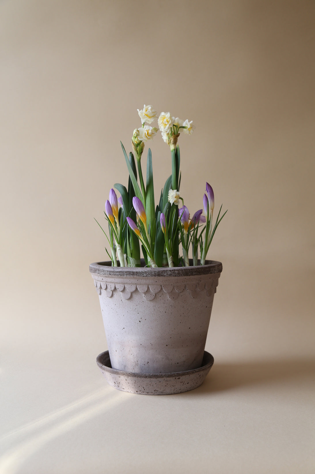 Bergs Potter Københavner RAW Grey 10cm Pot