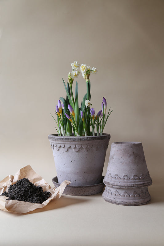 Bergs Potter Københavner RAW Grey 10cm Pot