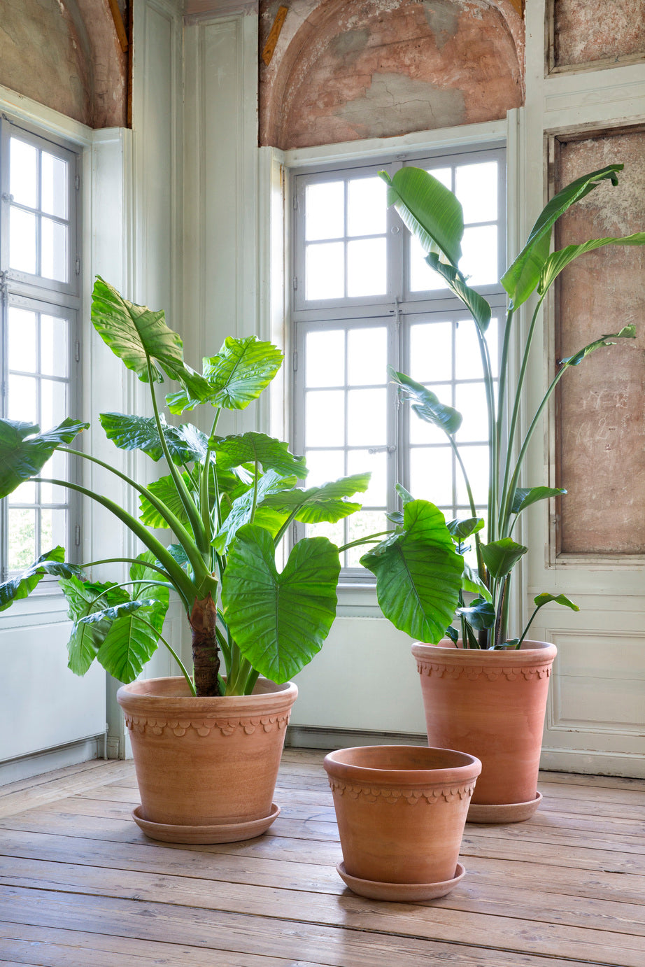 Bergs Potter Københavner RAW Rosa 10cm Pot