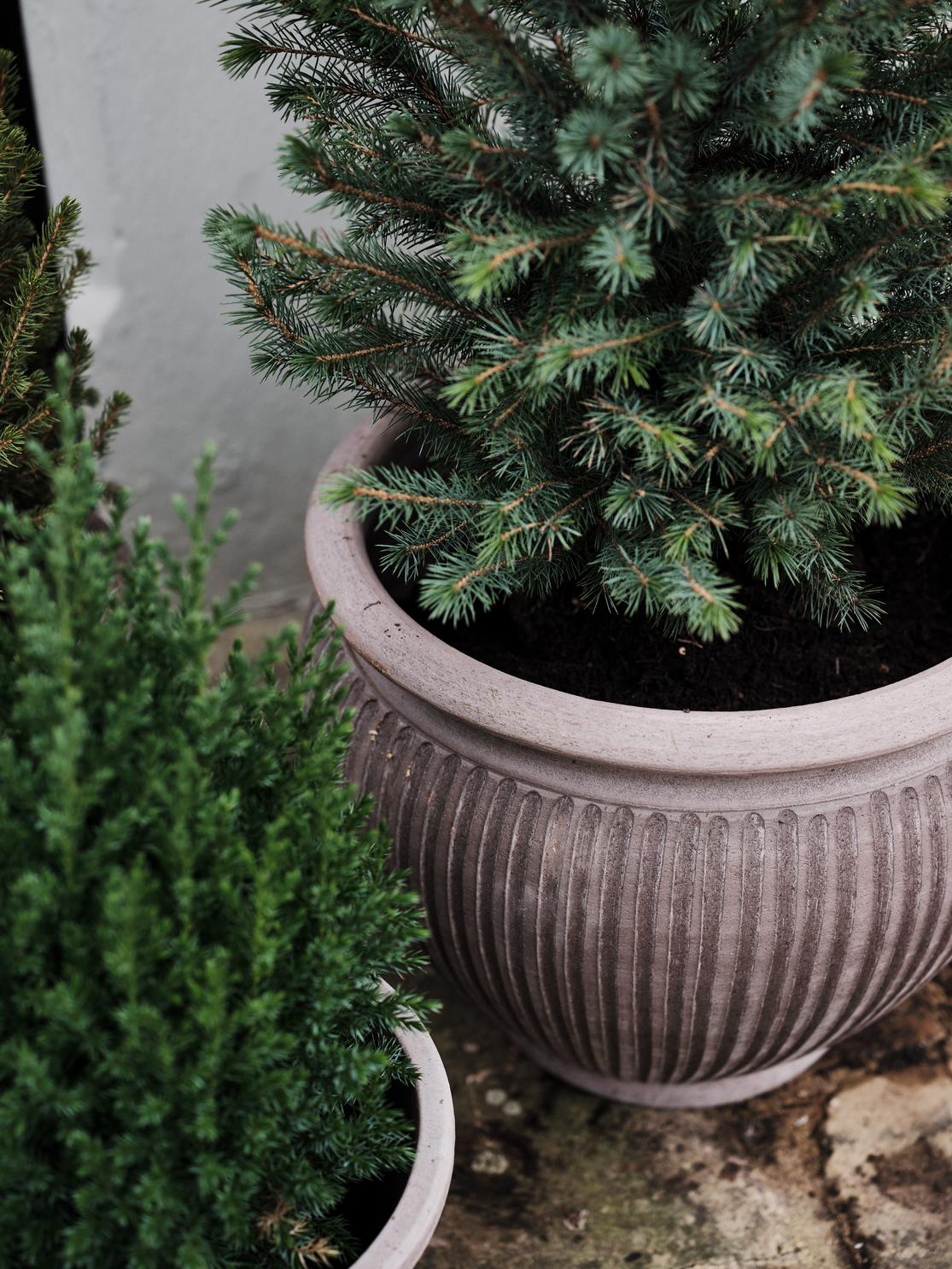 Bergs Potter Piccolina RAW Grey 30cm Pot