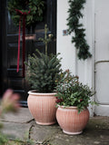 Bergs Potter Piccolina RAW Rosa 35cm Pot