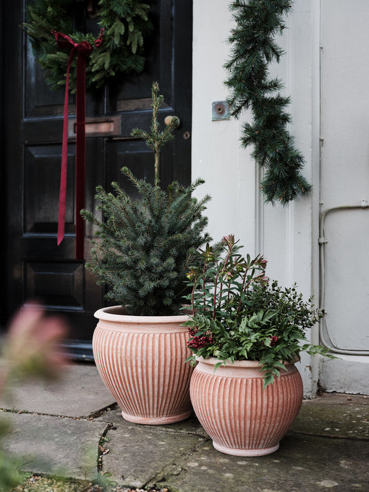Bergs Potter Piccolina RAW Rosa 35cm Pot