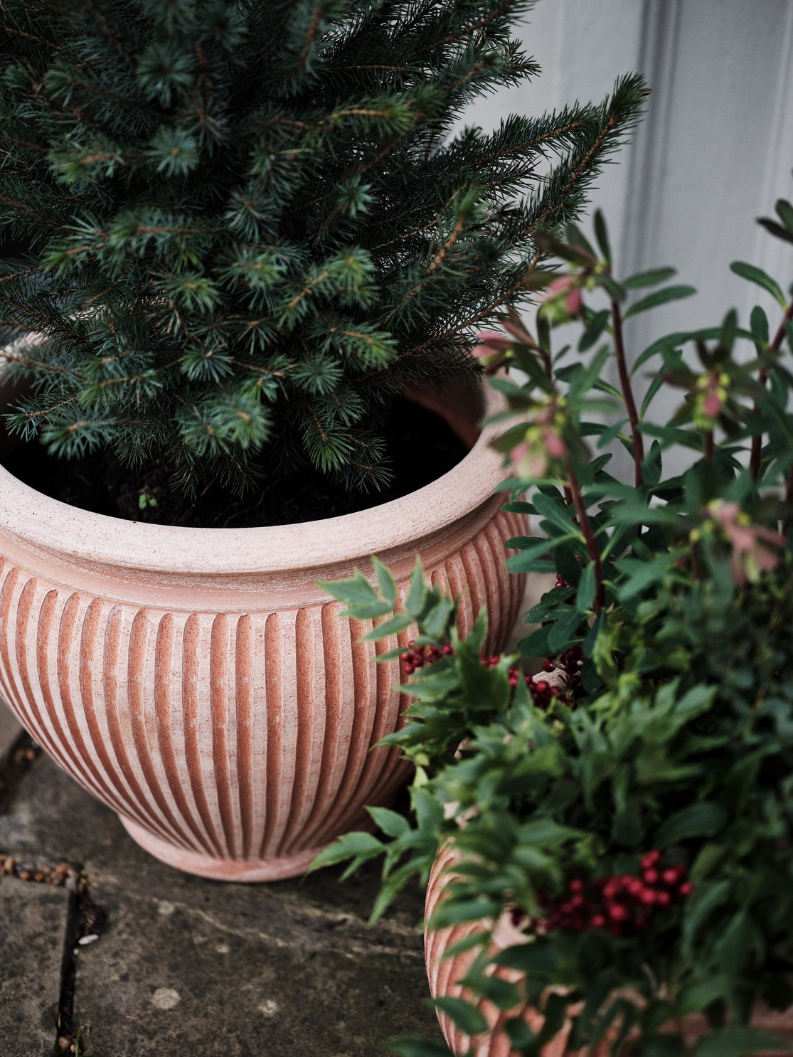 Bergs Potter Piccolina RAW Rosa 35cm Pot