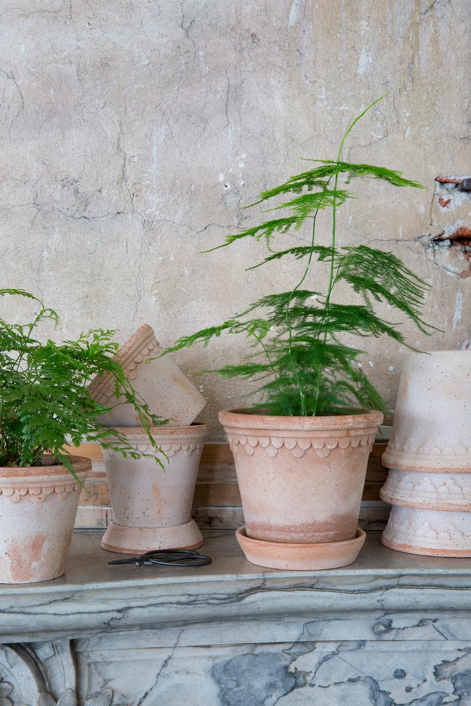 Bergs Potter Københavner RAW Rosa 10cm Pot