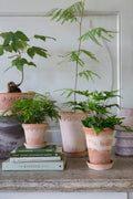 Bergs Potter Københavner RAW Rosa 16cm Pot