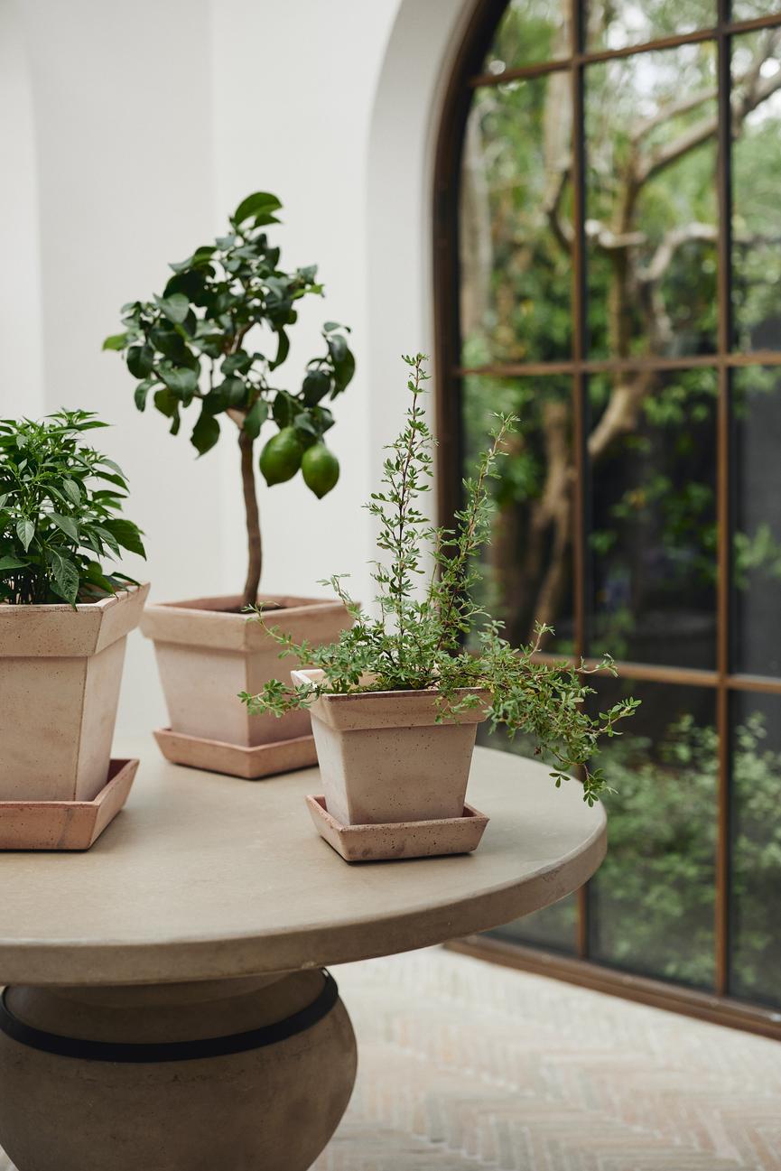 Bergs Potter Gaia Pot + Saucer