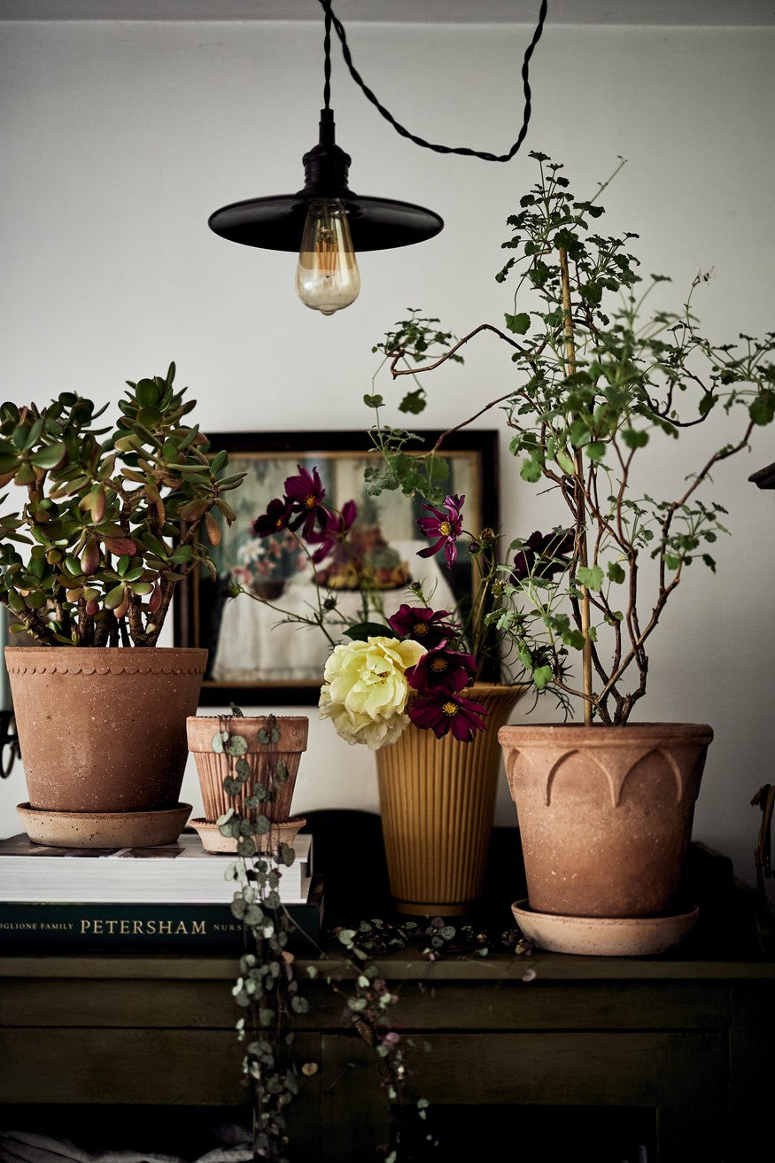 Bergs Potter Elizabeth RAW Rosa 18cm Pot