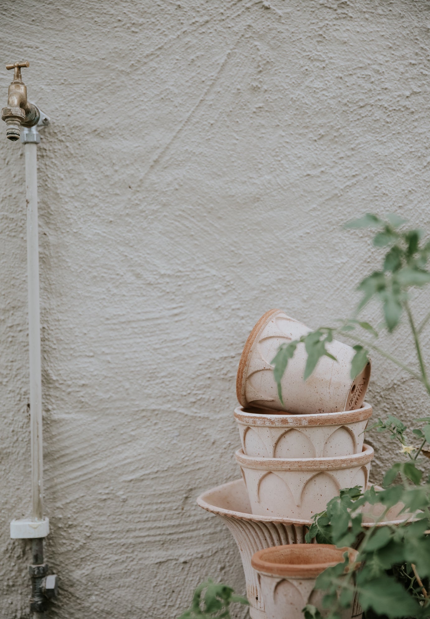 Bergs Potter Elizabeth RAW Rosa 12cm Pot