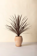 Bergs Potter Delphi Pot