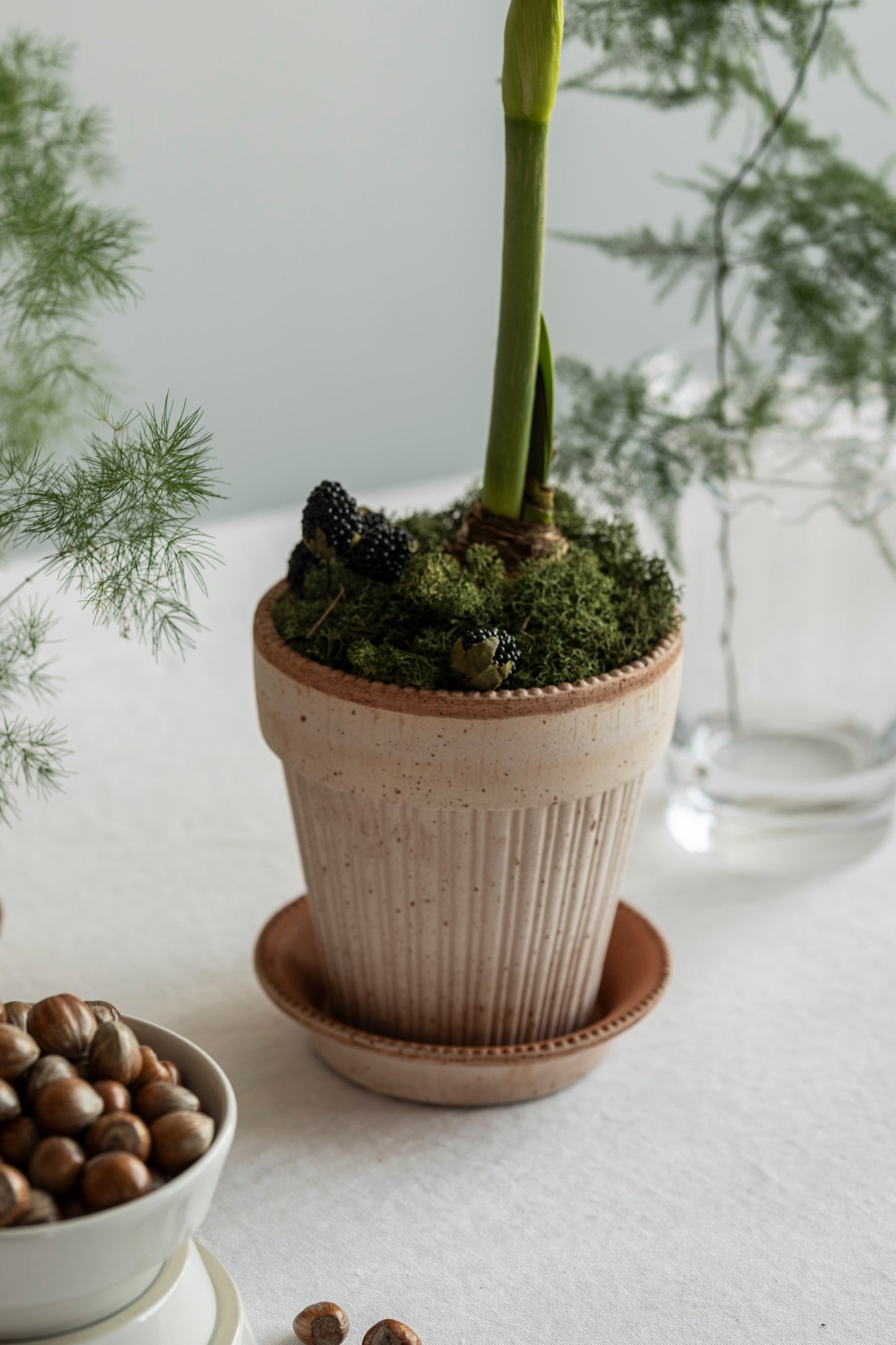 Bergs Potter Simona RAW Rosa 14cm Pot