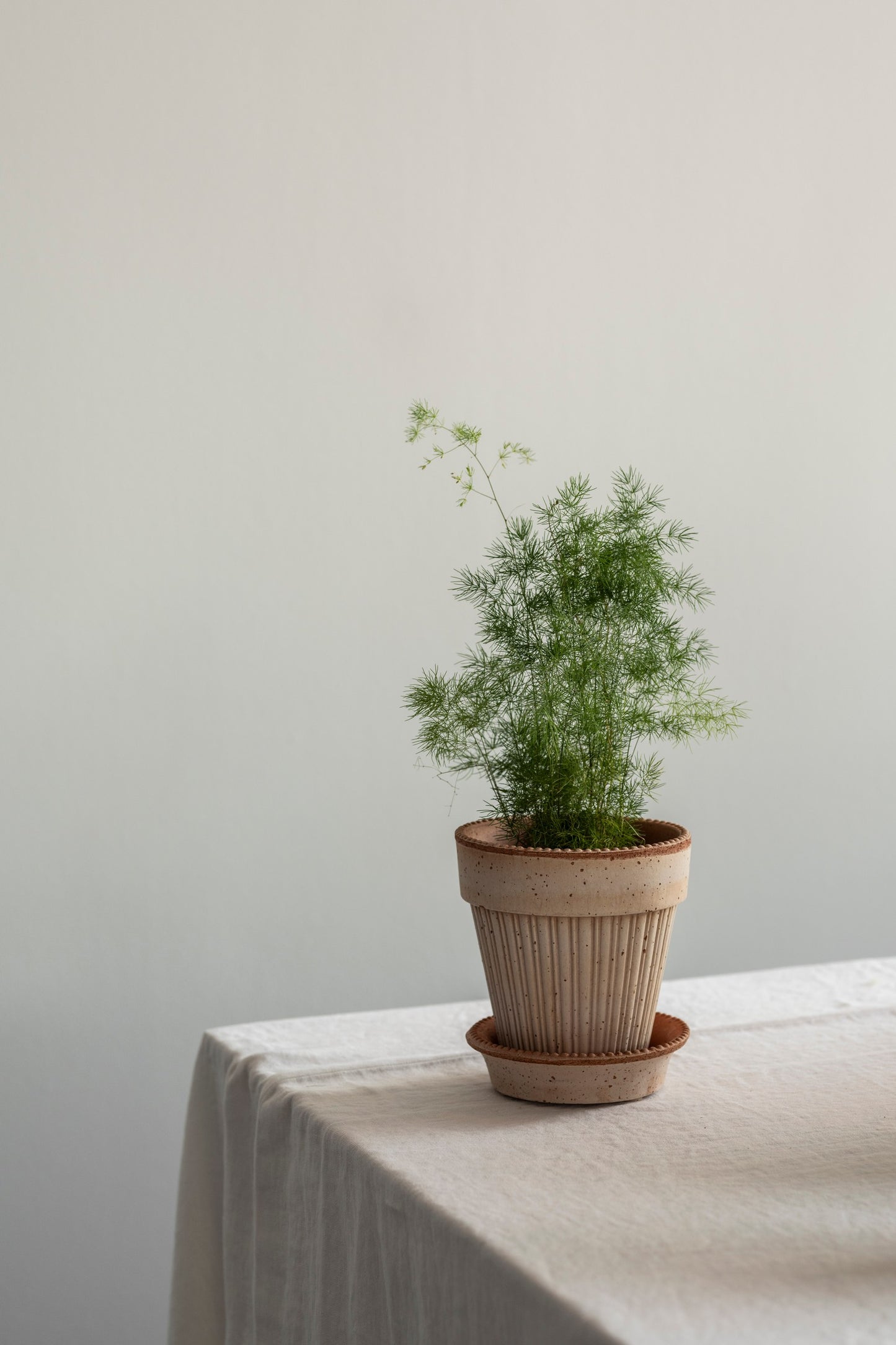 Bergs Potter Simona RAW Rosa 14cm Pot