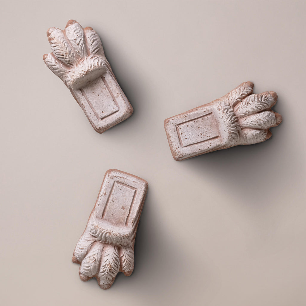 Bergs Potter Lion Paw RAW Rosa