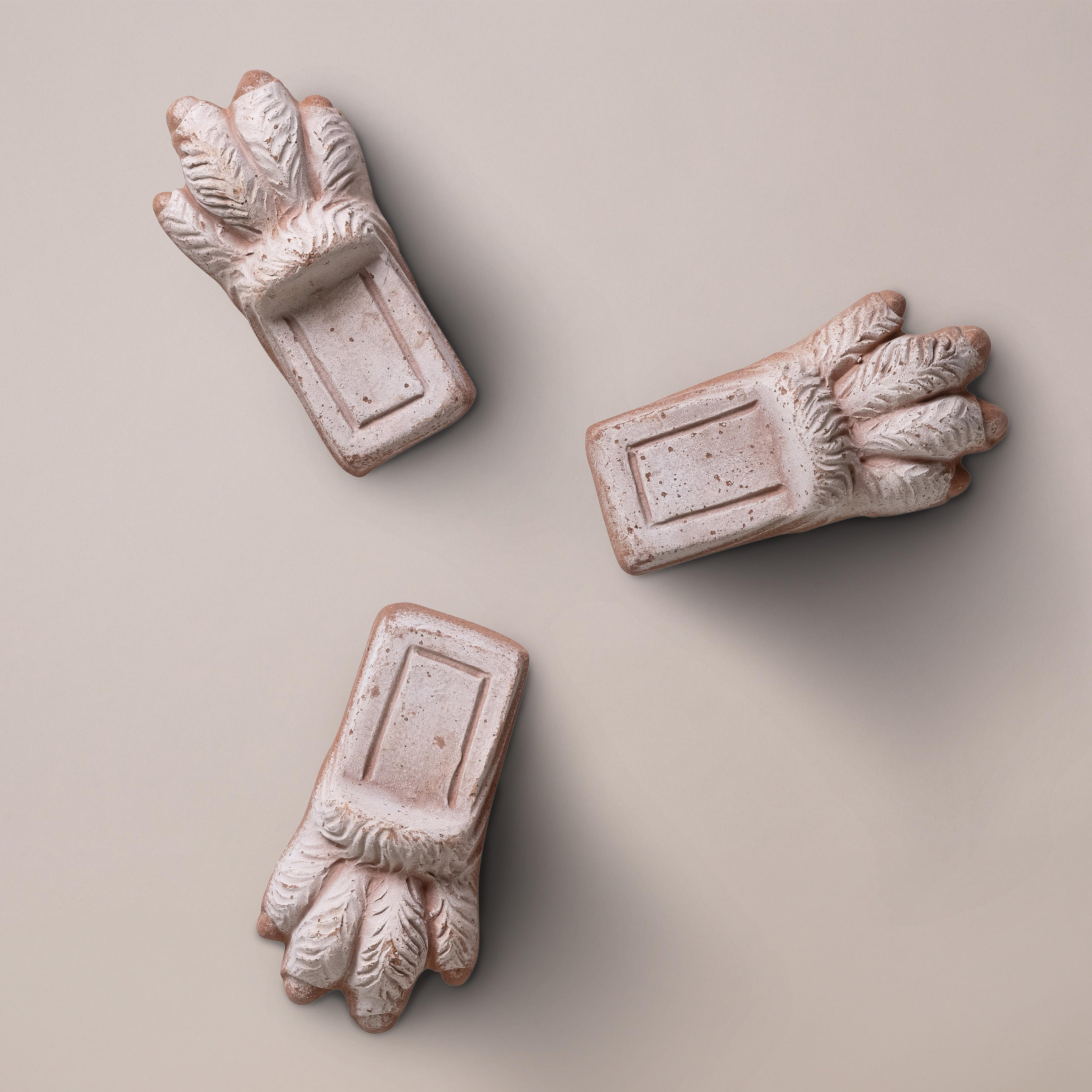 Bergs Potter Lion Paw RAW Rosa
